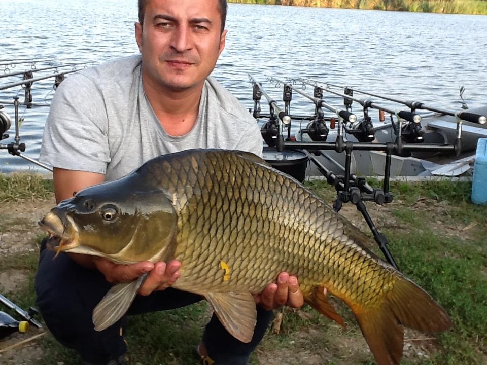 Tancabesti 16.08.2013